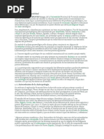 2023 Herrero a. Revista Cultura Latinoamericana Taco Cultura Lat ...