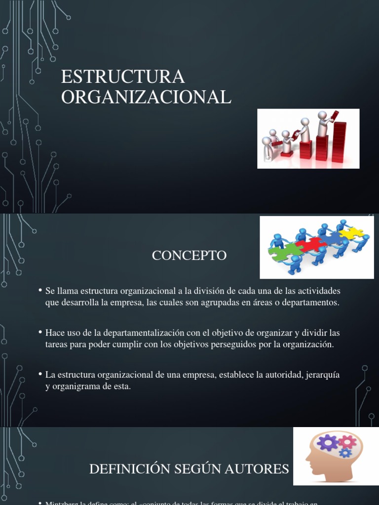 Estructura Organizacional | PDF | Business | Economias