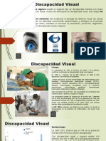 La Discapacidad Visual