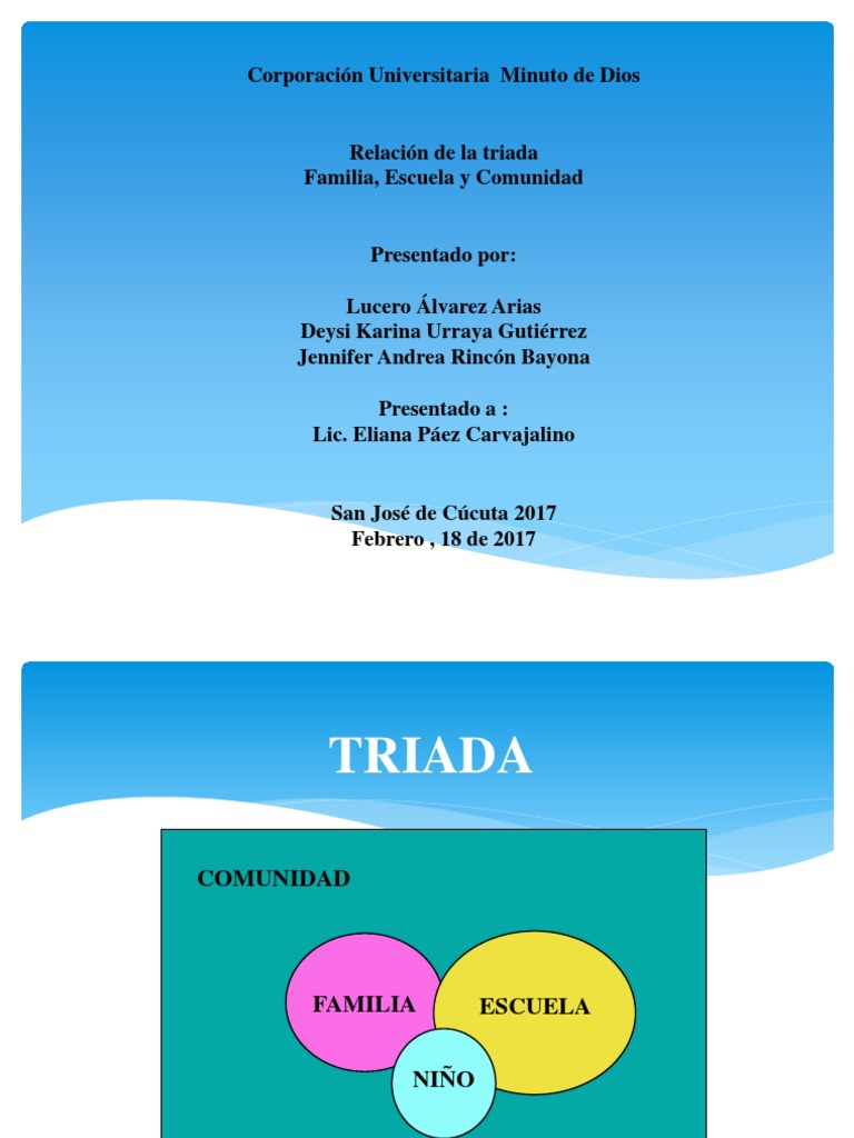 Relacion Triada | PDF | Familia | Socialización