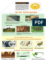 Infografia Biomasa