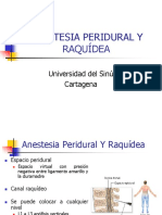 Anestesia Peridural y Raquídea