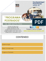 programapostradosrencastilloflores-120524171627-phpapp01.pdf