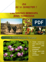 PowerPoint Ciri Khusus Tumbuhan Untuk Media Pembelajaran IPA Kelas 6 Semester 1