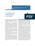 Neuroanatomia Clinica