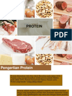 PROTEIN DAN FUNGSINYA