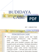 BUDIDAYA CABE.pptx