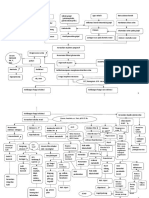 Patoflow CKD