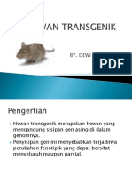 Hewan transgenik