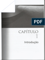Capitulo 1 - Introduçao.pdf