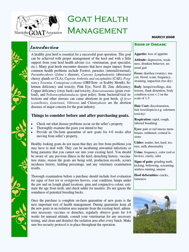 Goat Health Management PDF Goat Medical Specialties