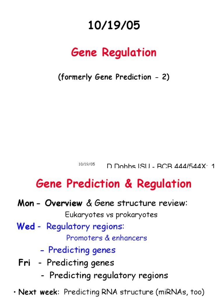 Gene Regulation PDF Promoter Gene