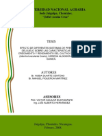 Tesis Modelo PDF