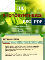 Intsc M1u2l4photosynthesisprocessfinal 150430145313 Conversion Gate02