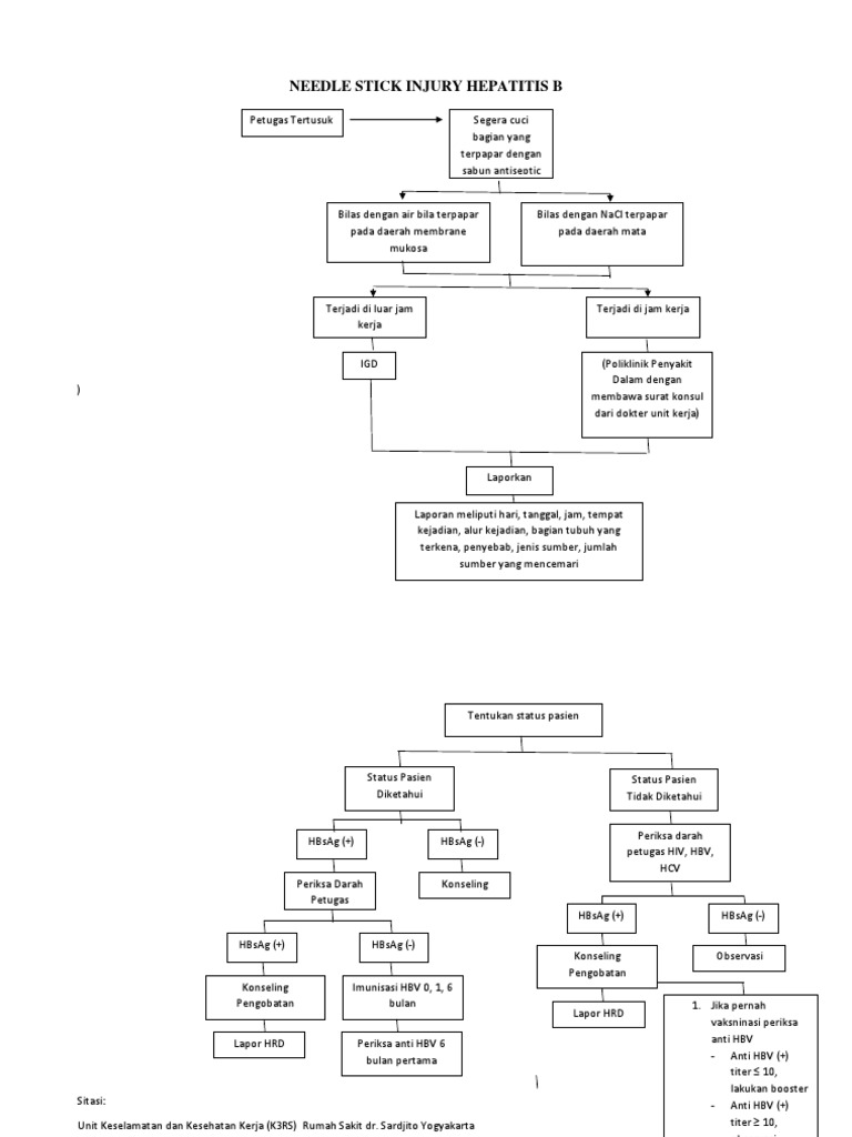 Needle Stick Injury Hepatitis B PDF