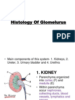 Histology of Glomelurus