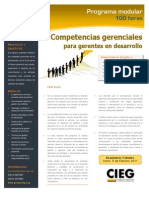 Competencias gerenciales para gerentes en desarrollo (programa modular)