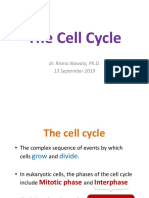 Biokimia-Cell Cycle 13Sept2019
