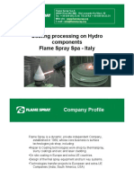 Flame Spray Coating Solutions for Hydro Components