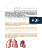 Eksplanation About Respiratory System