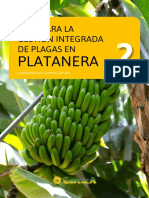 Cuaderno Divulgativo Coplaca 2014 - Plagas Platanera