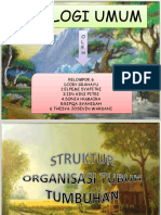 Struktur Organisasi Tubuh Tumbuhan