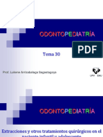 TEMA_30.pdf
