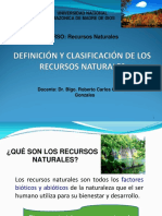 CLASE 2-Definicion RR - NN PDF