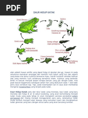 Daur Hidup Katak Pdf
