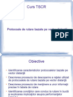 RutareVectorDistanta PDF