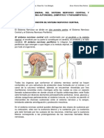 Sistema Nervioso Central y Perifiercio PDF