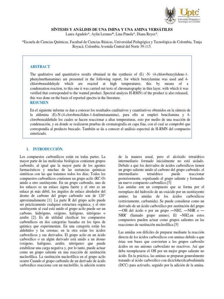 SÍNTESIS Y ANÁLISIS DE UNA IMINA Y UNA AMINA VERSÁTILES PDF Amida