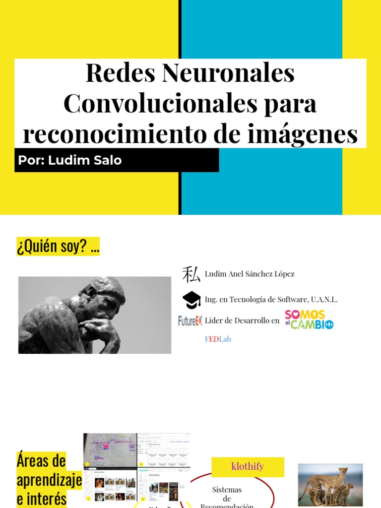 Taller - Reconocimiento de Imágenes | PDF | Red neuronal artificial ...
