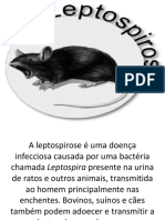 Leptospirose causada por bactéria em urina de animais