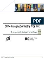 PruittManaging CM Price Risk