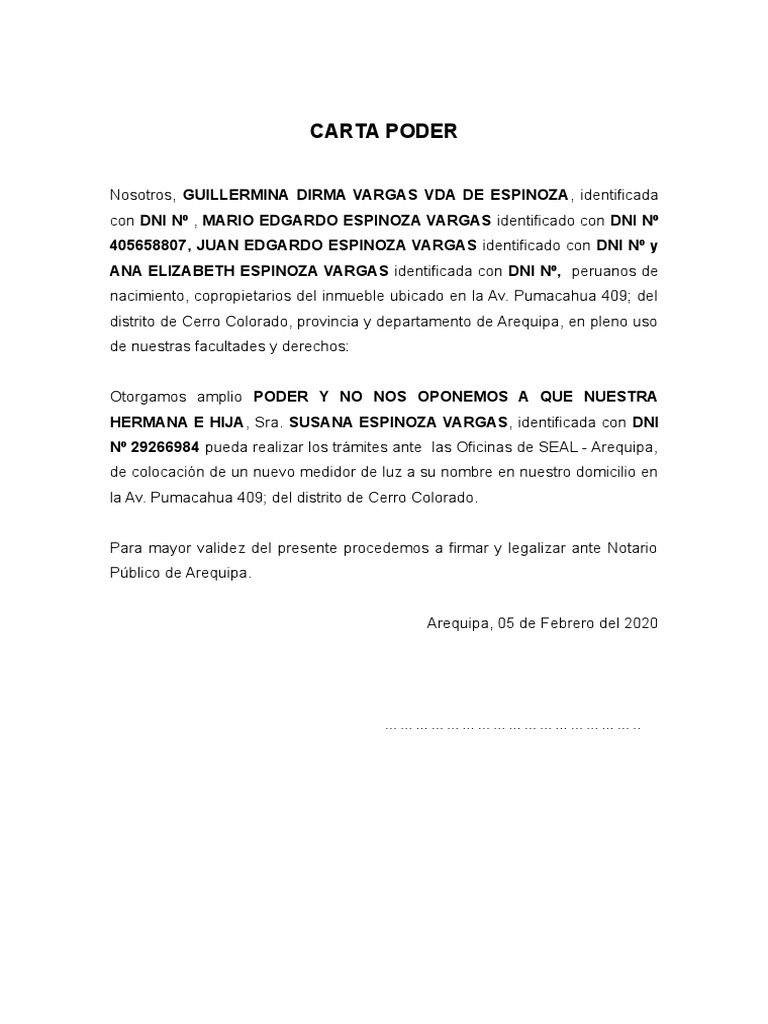 CARTA PODER Luz | PDF