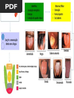 Semiologia Da Língua