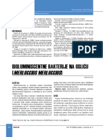 Rad 2 PDF