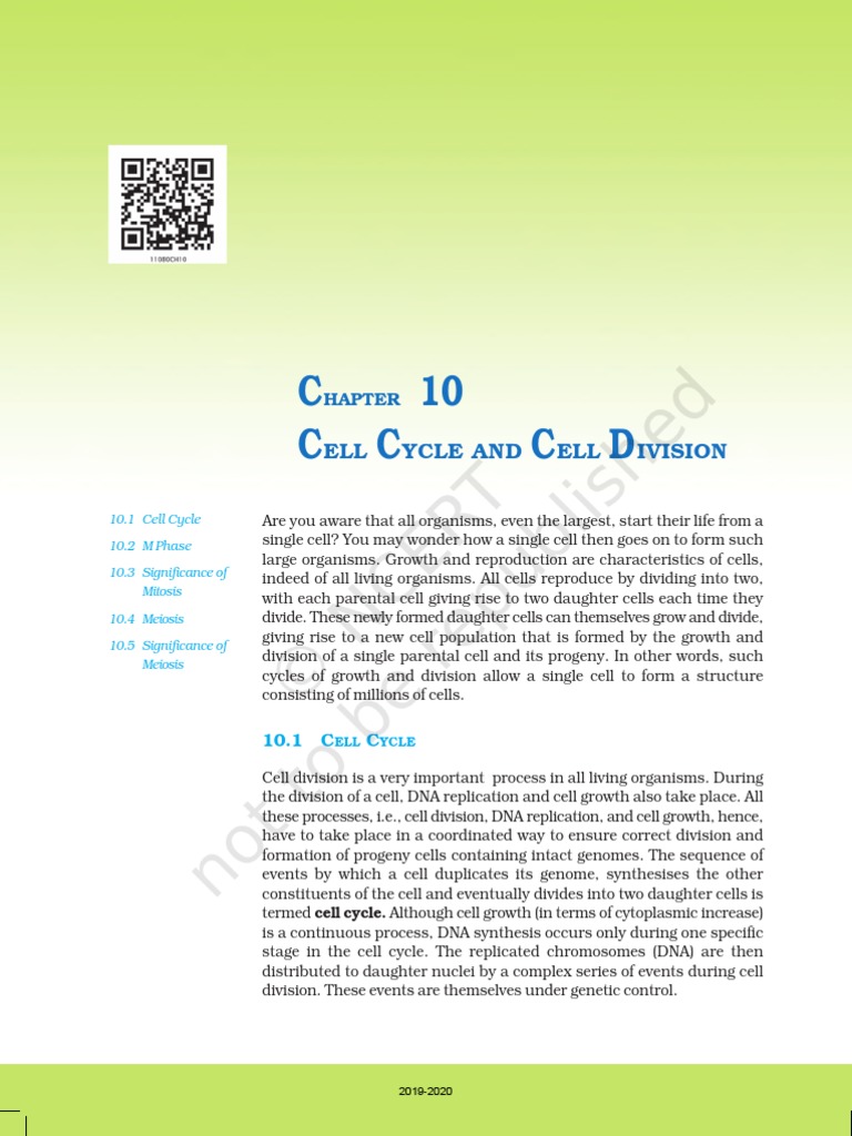 Chapter 10 Cell Cycle And Cell Division Meiosis Mitosis
