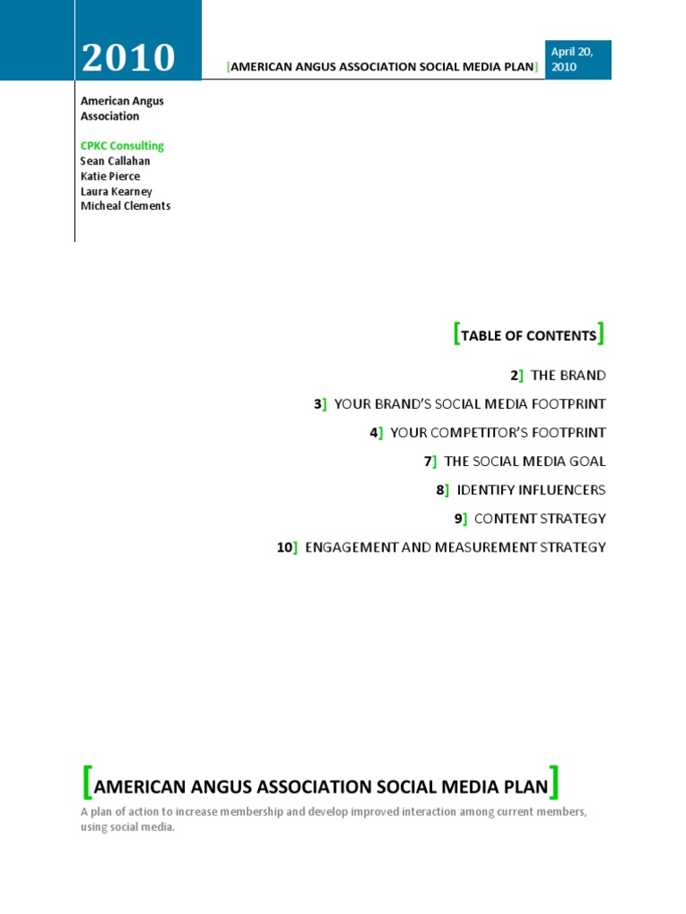 FINAL Social Media Plan | PDF | Social Media | Popular Culture & Media ...