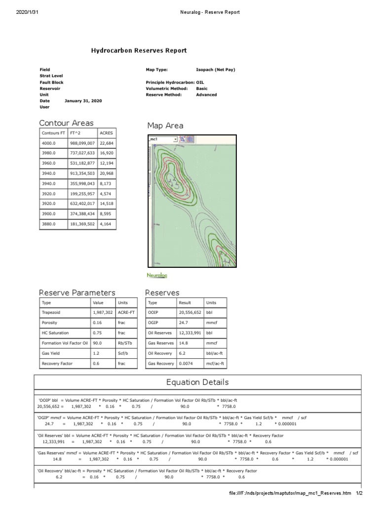 Neuralog Hydrocarbon Reserve Report | PDF | Oil Reserves | Industries