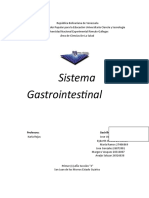 Sistema Gastrointestinal