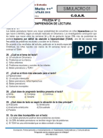 372320343-RV-COAR-Simulacro-1.pdf