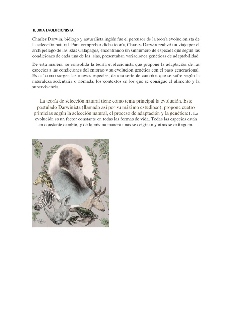 Teoria Evolucionista | PDF