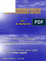 DBD Presentasi