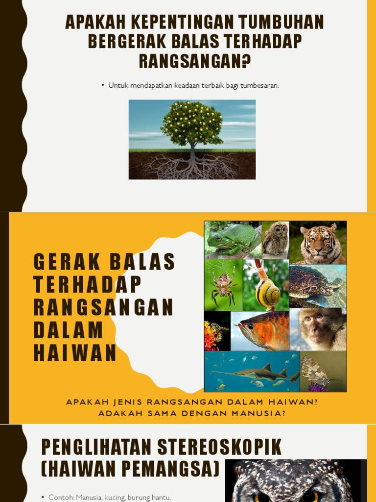 Kingdom Aquatech Photos Facebook