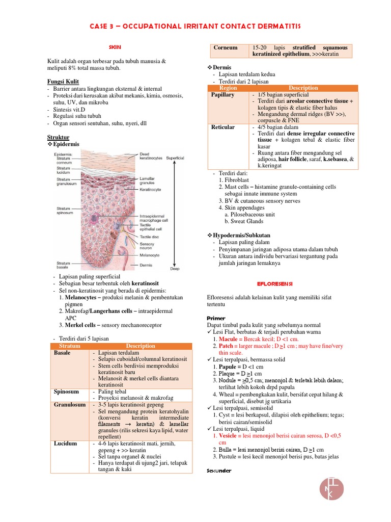 Dermatitis Kontak Iritan Pekerjaan | PDF