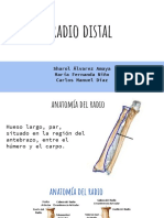 Ortopedia Radio Distal