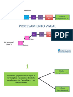 OVA Procesamiento visual.pptx