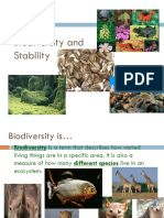 Biodiversity_and_Stability